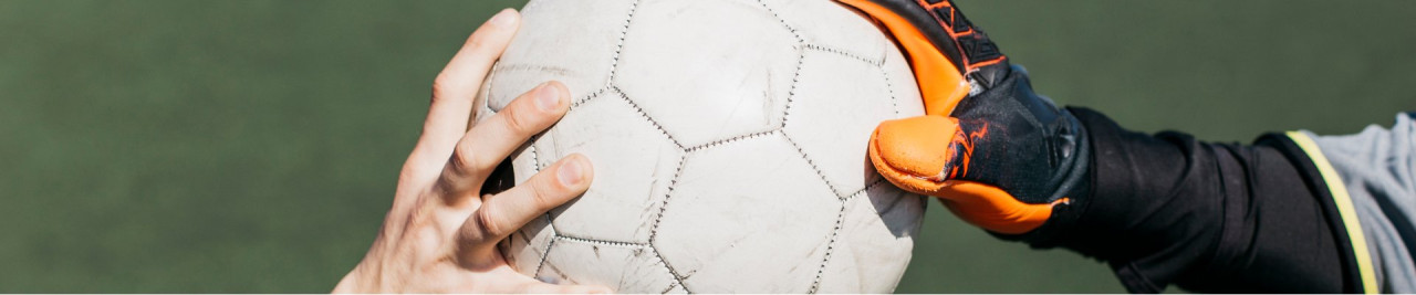 Описание изображения